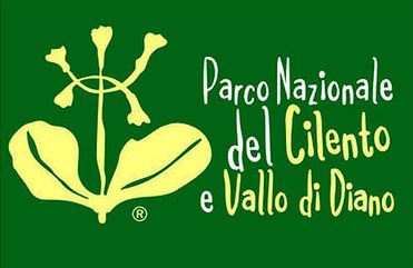 La Comunità del Parco si riunisce il 10 giugno, priorità all’emergenza cinghiali e alla viabilità