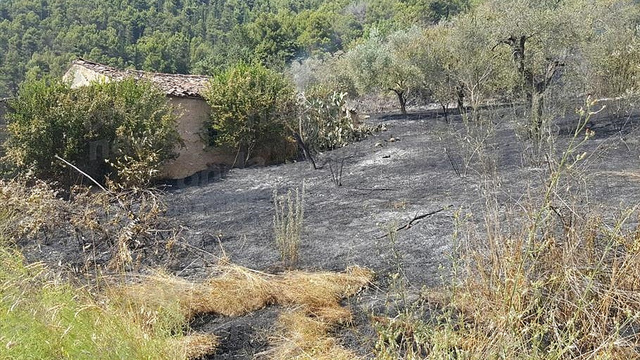 Sala Consilina: vasto incendio lambisce alcune abitazioni in località Cappuccini