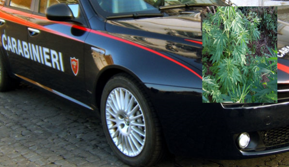 NUOVA EVIDENZA CARABINIERI 1