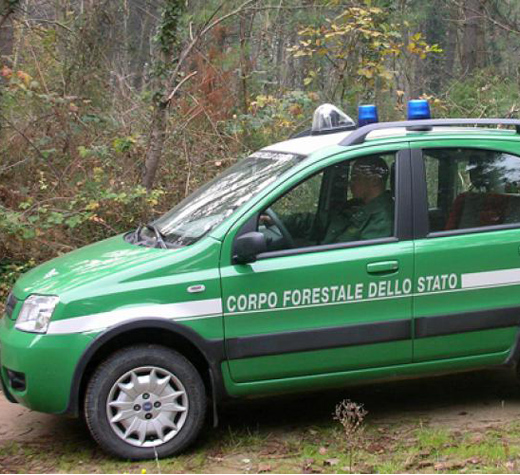 corpo forestale evidenza 1