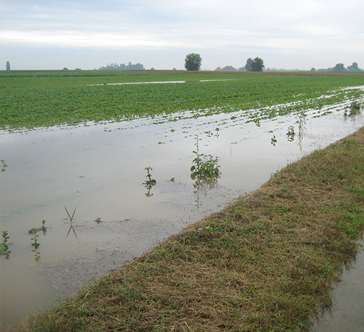 Piogge alluvionali del 2010. Arrivano gli indennizzi per gli agricoltori del Tanagro