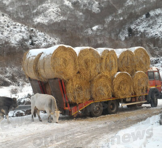 camion-corticato-evidenza