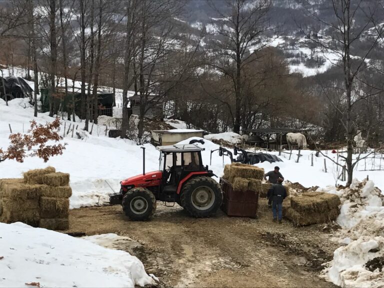 Terremoto Centro Italia. Da San Pietro al Tanagro 150 balle di fieno ad Arquata del Tronto