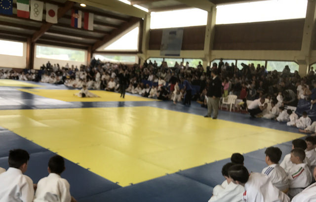 San Pietro al Tanagro: la “New Kodokan” conquista il Torneo Città Vallo di Diano di Judo