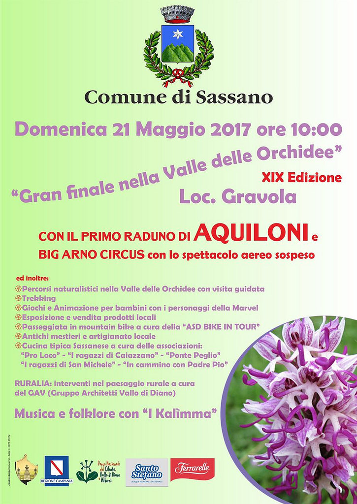 Sassano: il 21 maggio appuntamento in montagna con la XIX edizione de “La Valle delle Orchidee”