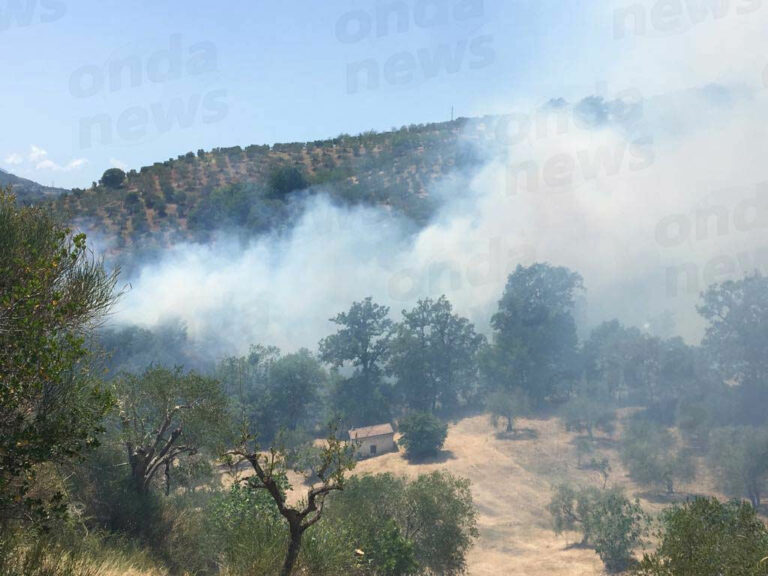 Incendio a Vietri di Potenza. Distrutti 3 ettari di macchia mediterranea