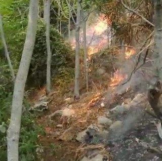 San Pietro al Tanagro: brucia ancora località Crocifisso. Si ferisce operaio dell’Anti Incendio