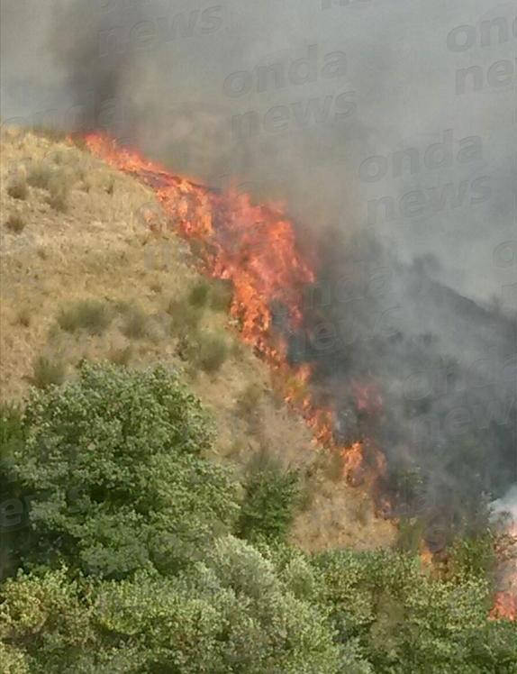 Buccino: vasto incendio in località Pisciarelli manda in fumo 10 ettari di vegetazione