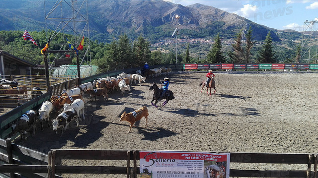 San Rufo: il team Erbanito conquista le competizioni a cavallo alla Sagra del Vitello Podolico