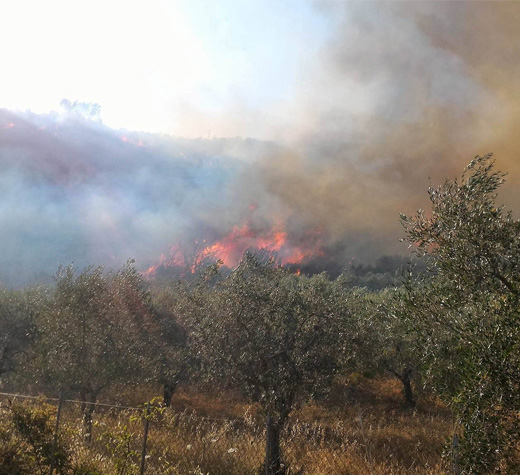 incendio roscigno evidenza