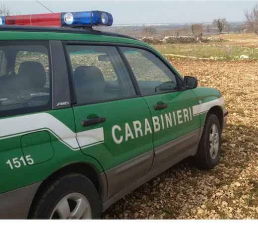 carabinieri forestali evidenza 2