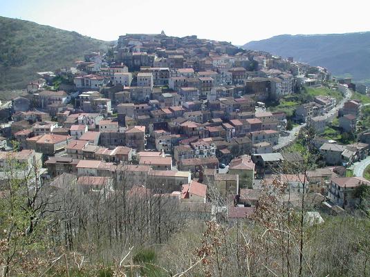 Sanza:il 16 settembre il convegno faunistico su “La Beccaccia in Campania, in Italia e in Europa”