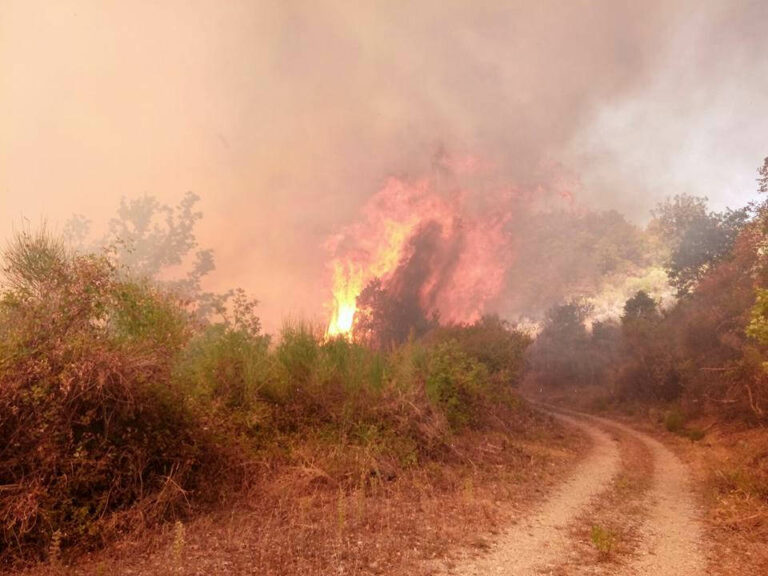 Incendi boschivi e siccità. Il Comune di Roscigno chiede lo stato di calamità naturale