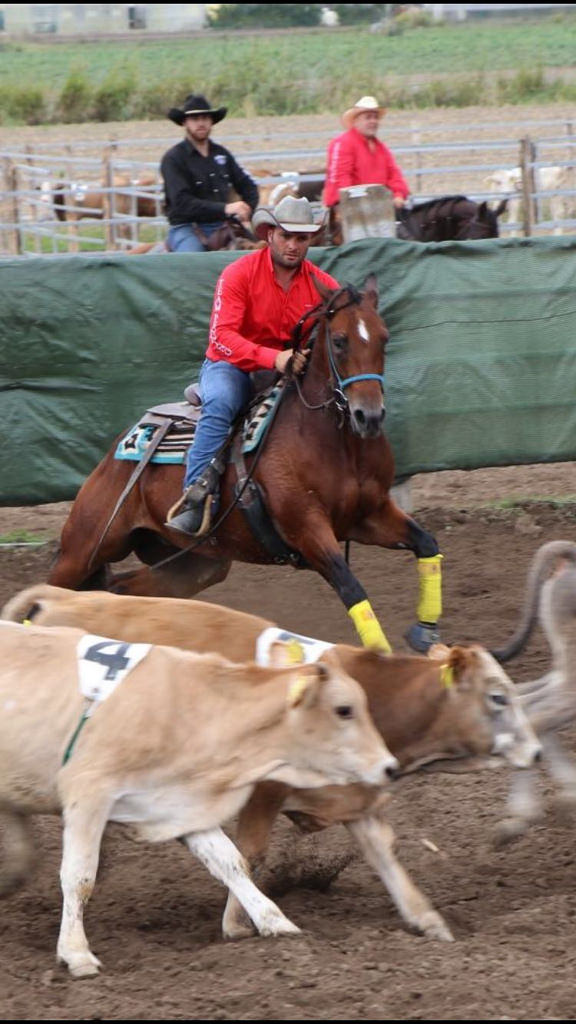 L’Erbanito Horse Team di San Rufo sul podio del Campionato Fitetrec Ante Campania di Team Penning