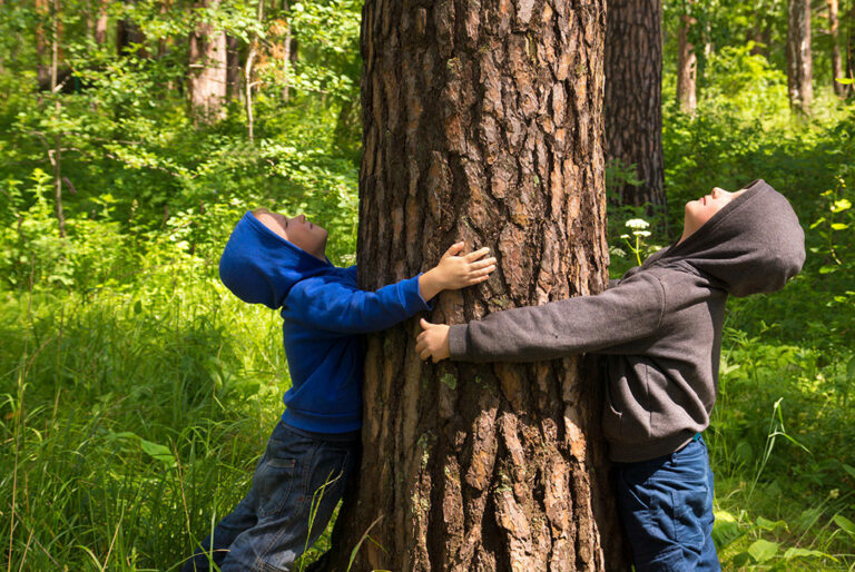 Caselle in Pittari: domani la manifestazione “Festa dell’Albero-La Consegna”