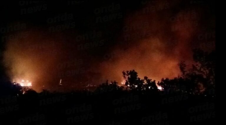 Incendio dell’Oasi WWF di Persano. Dal bilancio emerge l’origine dolosa del rogo