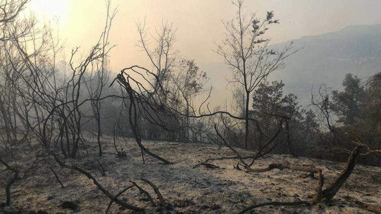 Incendi e siccità a Roscigno.La vicinanza alla comunità e al Sindaco del Generale Lorenzo Dionigi