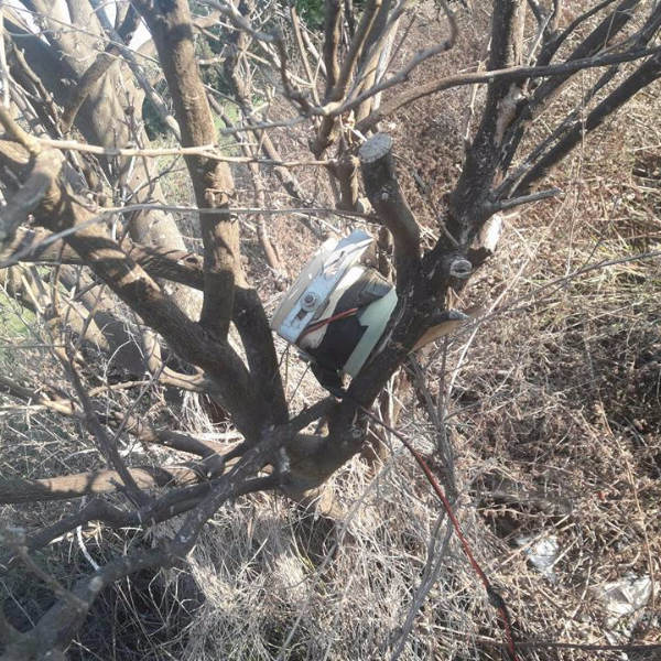 A caccia nella riserva naturale protetta Foce Sele-Tanagro. Tre uomini denunciati a Serre