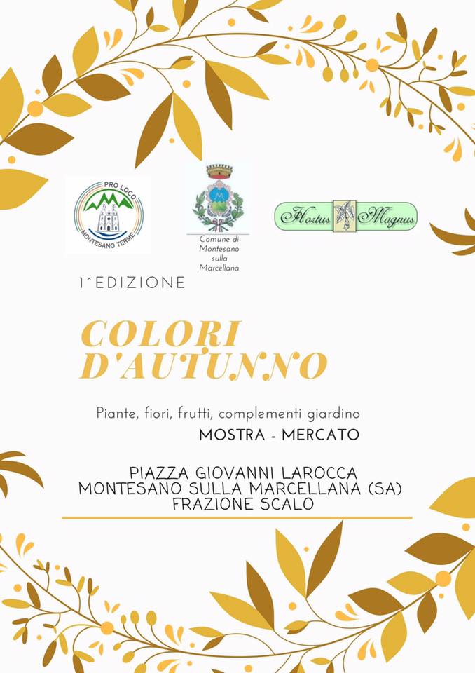 COLORIDAUTUNNO