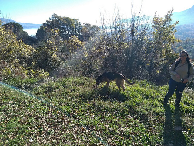 Giovane migrante scomparso a San Rufo. Sospese momentaneamente le ricerche