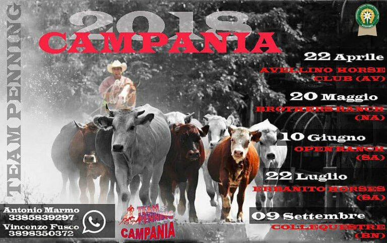 L’Erbanito Horse Team di San Rufo domani al Campionato Fitetrec Ante Campania di Team Penning