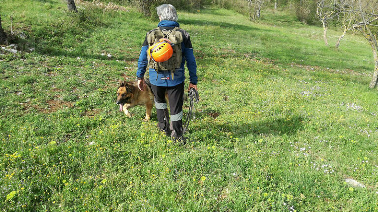 Nessuna traccia a Buonabitacolo del giovane Antonio Pascuzzo. Perlustrate le zone periferiche del paese