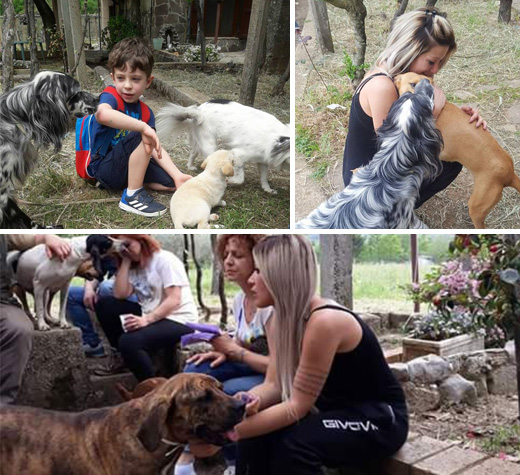 giornata per flora,cagnolina uccisa a Sanza ev