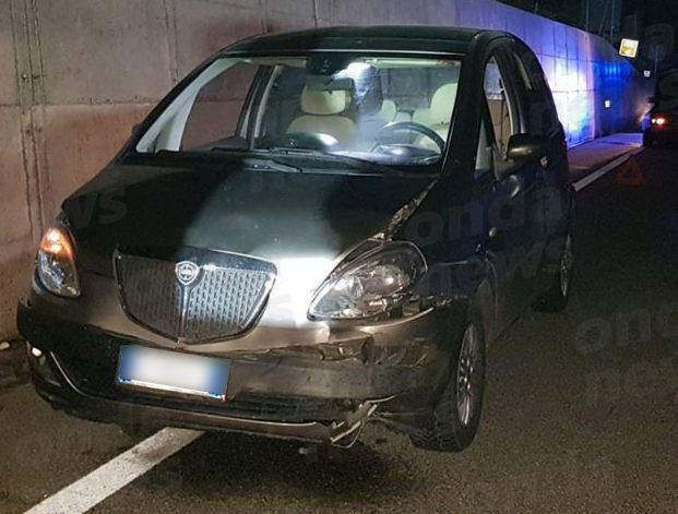 Emergenza cinghiali nel Potentino. Auto travolge un gruppo di ungulati a Satriano di Lucania