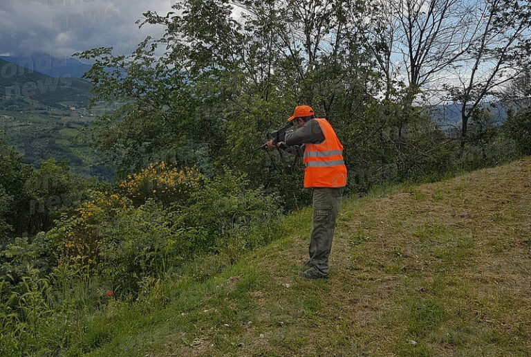 Emergenza cinghiali. A Vietri di Potenza al via l’abbattimento selettivo a cura di cacciatori esperti