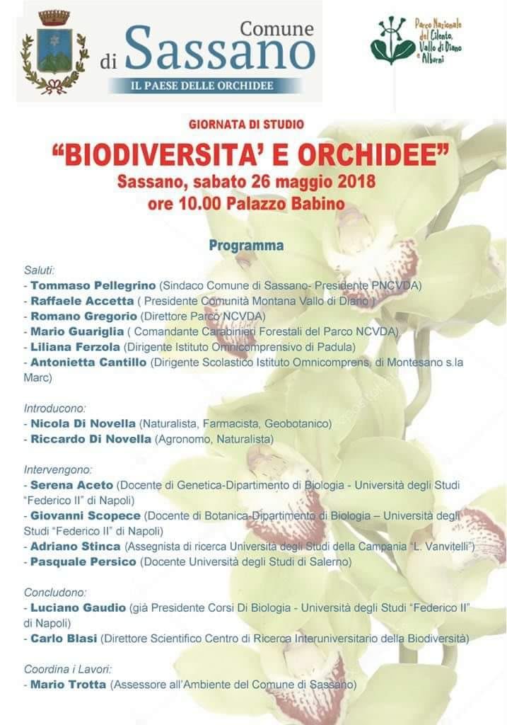 Sassano: domani si discute di Biodiversità e orchidee in un incontro a Palazzo Babino