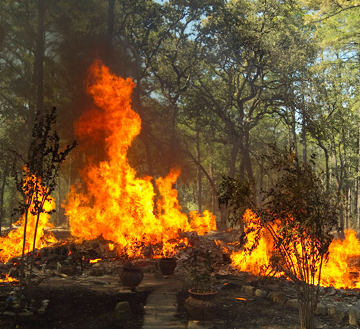 modello incendio boschivo regione evidenza