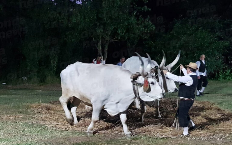 Al via a Prato Perillo di Teggiano tra buon cibo, canti e balli l’edizione 2018 della “Pisatura”