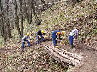 operatori idraulico forestali