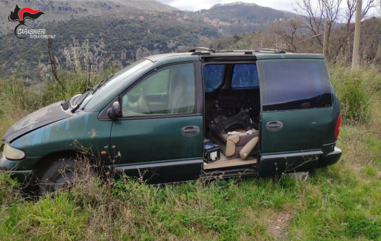 Scoperti veicoli abbandonati in aree boscate tra Sapri, Padula e Buccino. Sanzioni per i proprietari