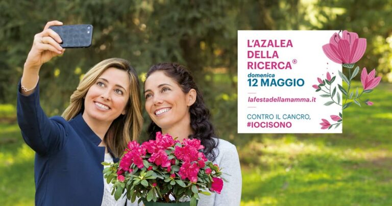 Domani l’Azalea della Ricerca di AIRC nelle piazze del Vallo di Diano per lottare contro il cancro