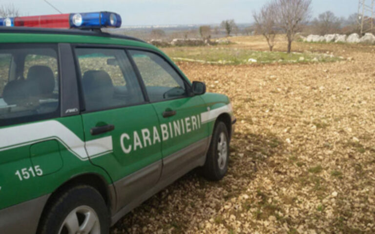 forestali-carabinieri-800x500_c