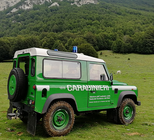 forestali-carabinieri-evid