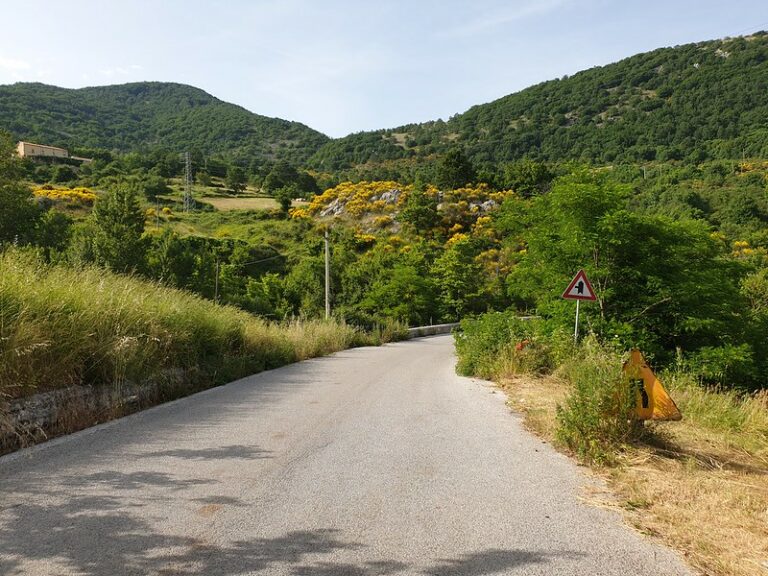 Erba alta lungo le strade provinciali di Montesano. Un cittadino:”Evidente pericolo per automobilisti”