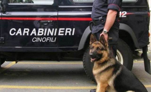 Trovata in possesso di 8 involucri contenenti hashish. Denunciata una 16enne a Potenza