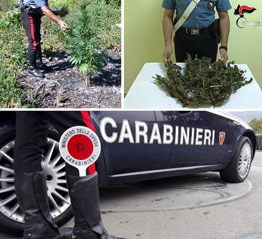 marijuana san pietro evidenza