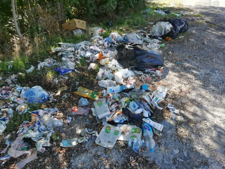 Rifiuti abbandonati lungo la Provinciale tra Padula e Buonabitacolo. La natura preda dell’inciviltà