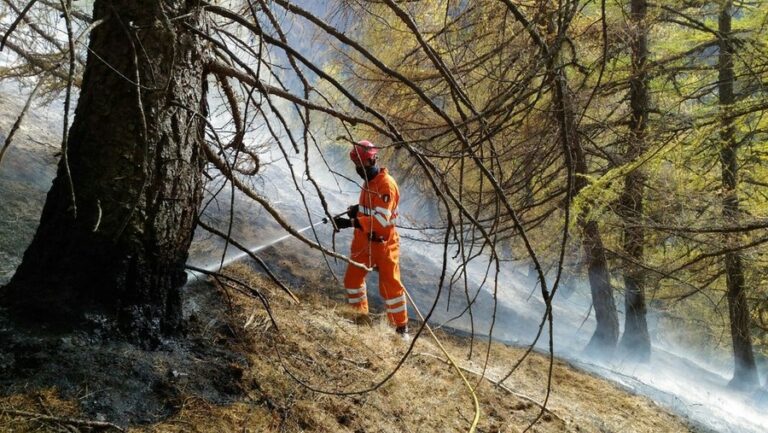 incendio bosco