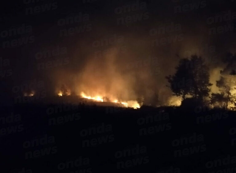 Vasto incendio su una collina a Licusati. Le fiamme distruggonono ettari di macchia mediterranea