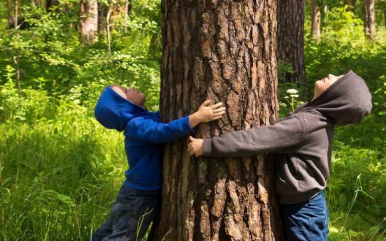 Il Comune di Agropoli aderisce alla Festa dell’Albero 2019. Domani piantumazione delle piantine