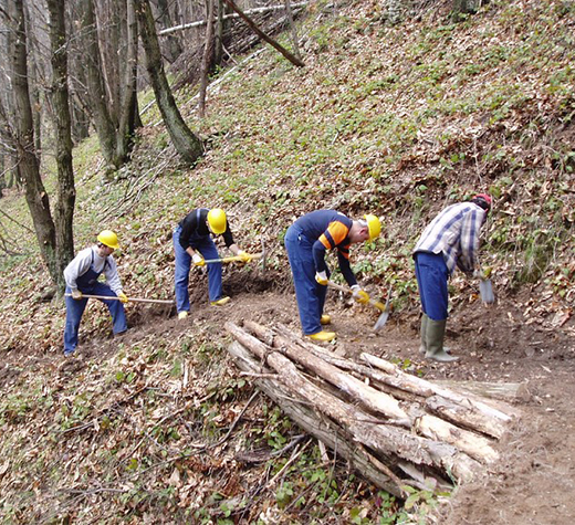 operai-forestali-evidenza