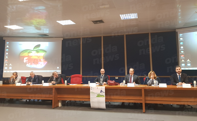 Convegno Green economy