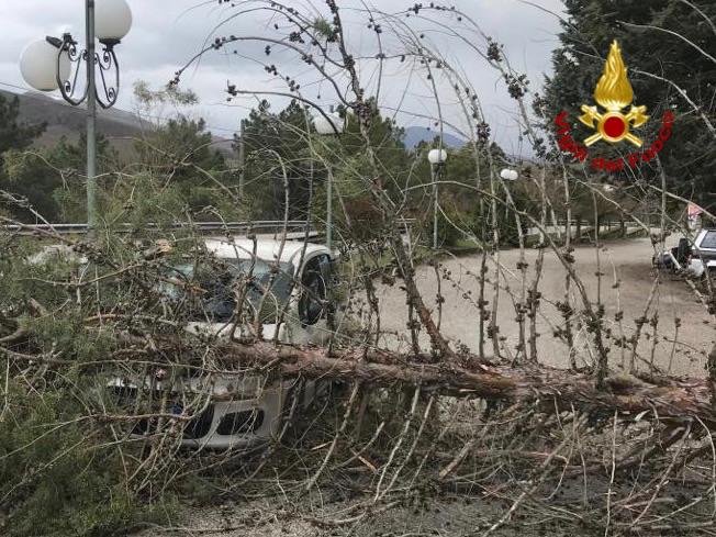 Vento forte a Vietri di Potenza. Cade un albero su un’auto, intervengono i Vigili del Fuoco