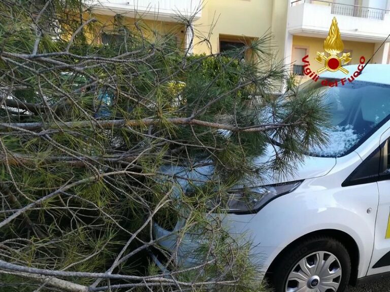 Potenza: albero cade su un’auto a causa del forte vento. Intervengono i Vigili del Fuoco