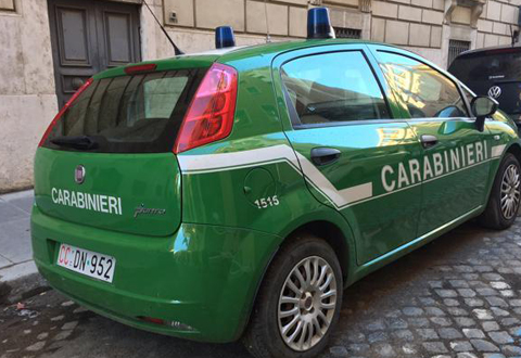 carabinieri 480x330 38