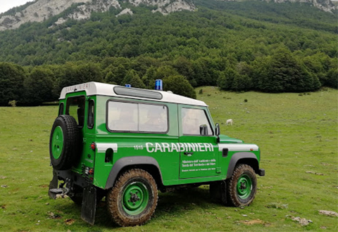 carabinieri-parco-evidenza-480x330